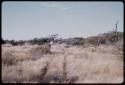 Truck tracks in tall grass