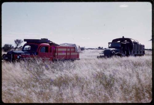 Expedition Dodge and GMC trucks driving in tall grass