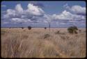 Landscape, truck tracks in grass