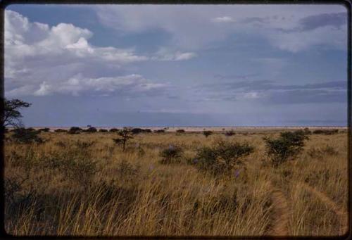 Landscape, cloudy sky