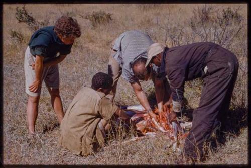 William Donnellan, Kernel Ledimo, and Dabe cutting open a springbok, Elizabeth Marshall Thomas watching