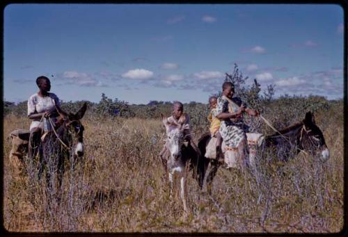 Travelers riding donkeys