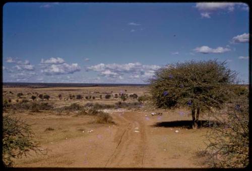 Landscape, road leading to valley