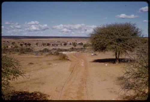 Landscape, road leading to valley