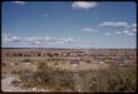 Village, seen from a distance