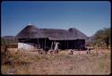 House, person standing among chickens