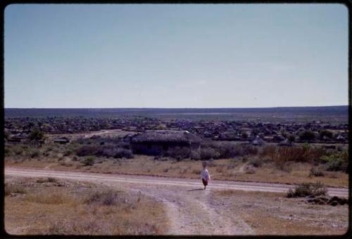 Town, seen from a distance