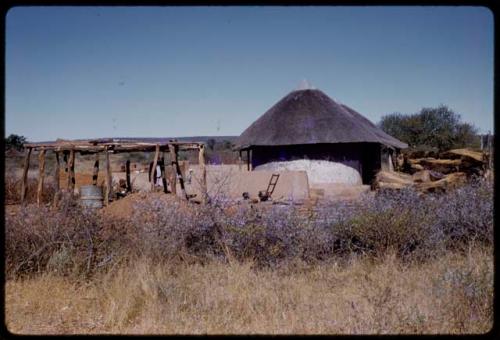 House and yard