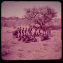 Dance: Men dancing in a line through a circle of women sitting, with a group of people sitting under a tree in the background, view from the top of an expedition truck