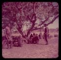 Dance: "Old ≠Toma" standing next to a group of people sitting under a tree, including "Gao Medicine" and Demi, with dance rattles hanging from one of the tree branches