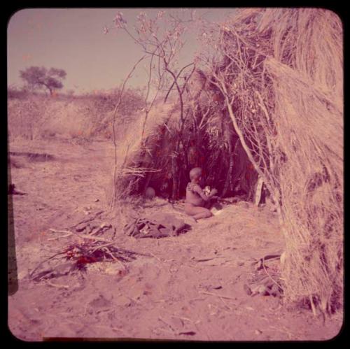 Fire-Making, "Old ≠Toma's" skerm: Child sitting on a grass bed inside a skerm, next to a newly started fire