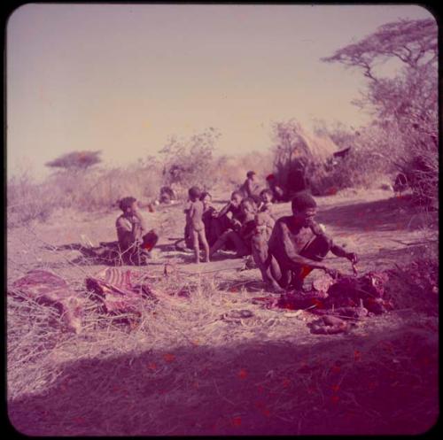 Food, Meat: "Gao Medicine" cutting up meat for distribution, with ≠Toma and other people sitting behind him