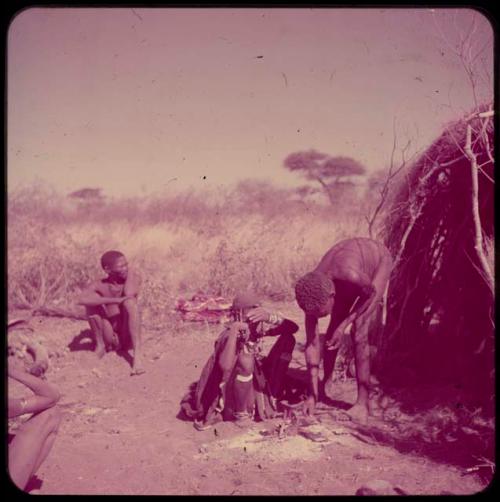 Food, Meat: "Old ≠Toma" and /Gam starting to cook meat in the ashes of a fire, with a man from a visiting band sitting at a polite distance from their fire