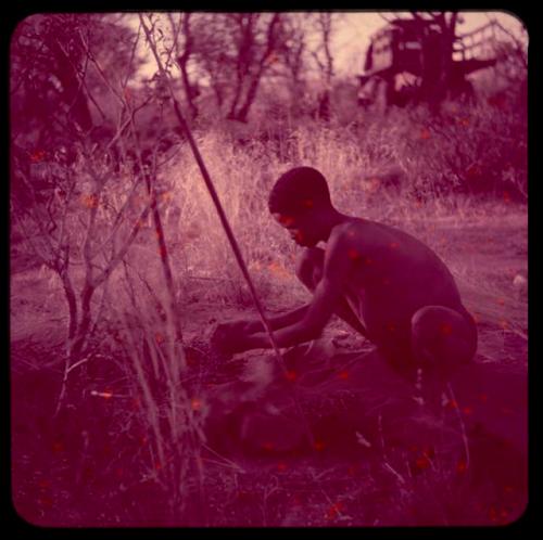 Food Gathering, "Manghettis": Man putting tsi into a kaross