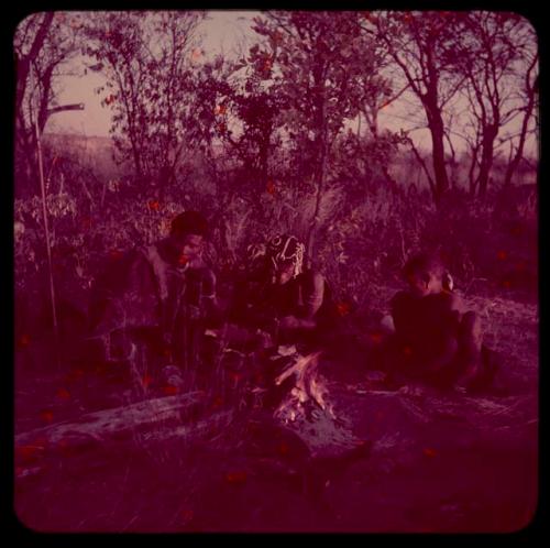 Food Gathering, Tsi: Khuan//a of Band 4 (wife of //Ao) wearing copper rings, sitting with another woman (possibly "Gao Medicine's" sister) and a woman from Band 9 or 10 next to a fire on a gathering trip