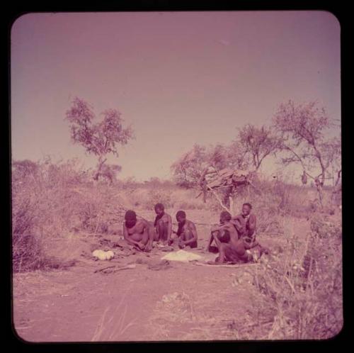 Groups, Men: "Old Gau" working, sitting in his dwelling place with a group of men, including ≠Gao (his brother), "Old ≠Toma," "Old /Gaishay" and "/Qui Navel"