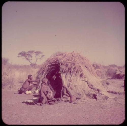 Groups, Extended Family: "Old ≠Toma" and /Gam sitting and a child walking in front of Gau's skerm, with a kudu head on the ground next to the skerm