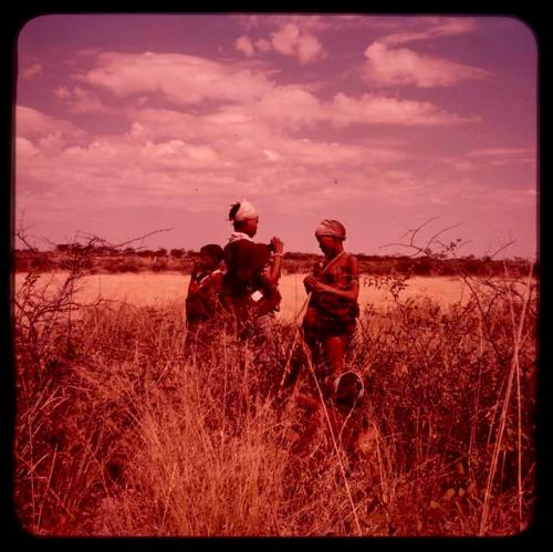 Two women and boy gathering food, standing in grass