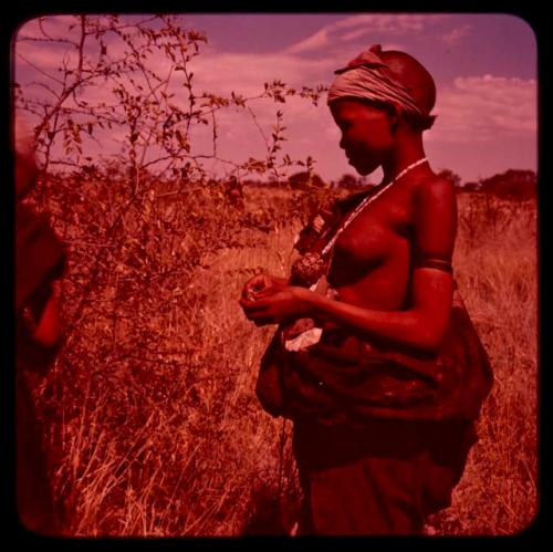 Girl standing beside a bush to gather food