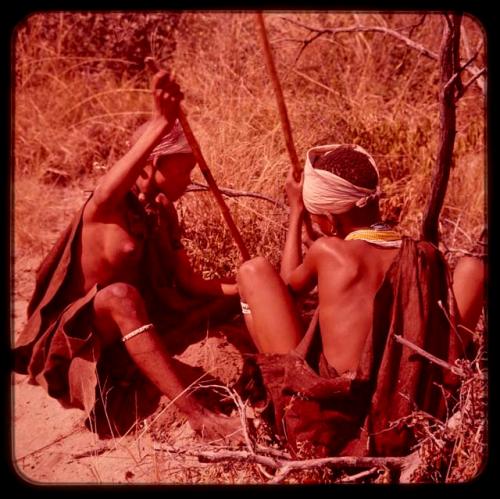 Two women digging to gather food