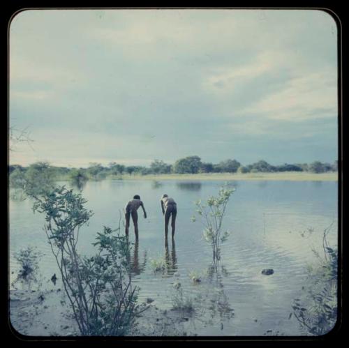 Two boys standing in the water, seen from behind