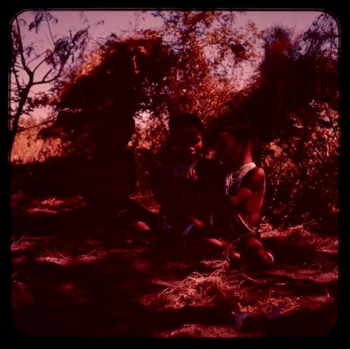 Children sitting under a leafy shelter