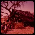 Group of people gathered near a tent