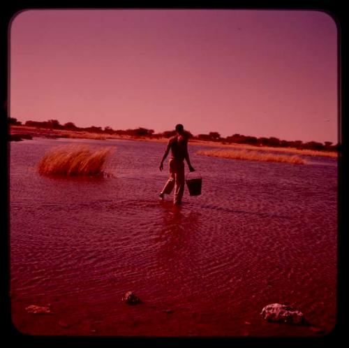 Man wading in the water, holding a bucket, seen from behind