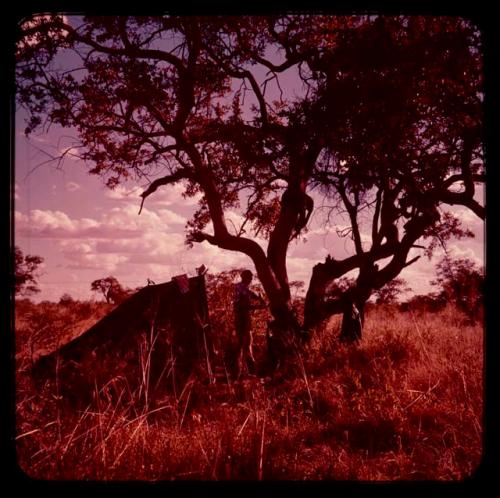 Foppe Hoogheimstra standing between a tent and a tree