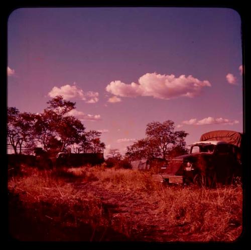 Trucks and tents