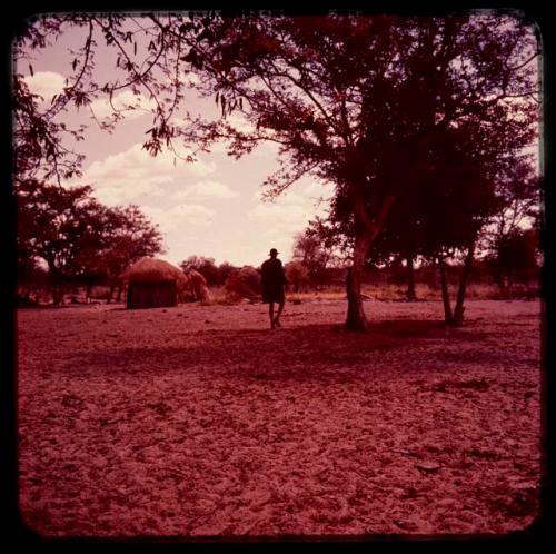 Man walking, seen from behind, with skerms in the background