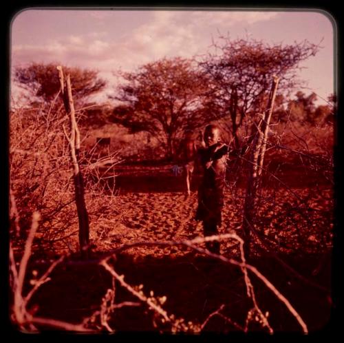 Boy standing by fence of cattle kraal