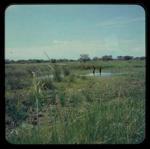 Two people standing in the water, from a distance