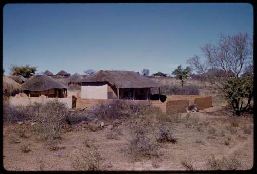 Houses with fences