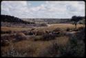 Farmhouses, in the distance