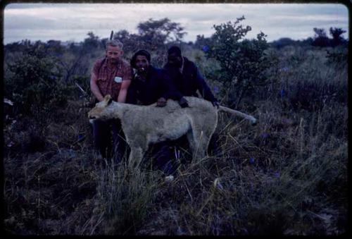 Theunis Berger, Heinrich Neumann, and Philip Hameva holding up a dead lion