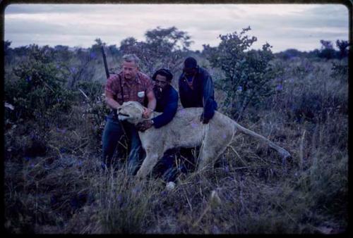 Theunis Berger, Heinrich Neumann, and Philip Hameva holding up a dead lion