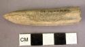 Fragment of antler awl