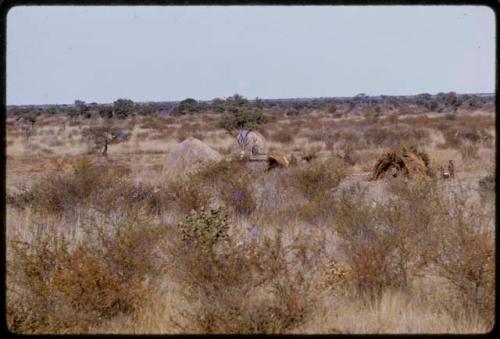 Village, seen in the distance