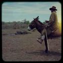 Man riding on a donkey, with dead cattle in the background