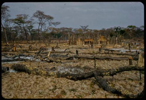 New village in a slash and burn area