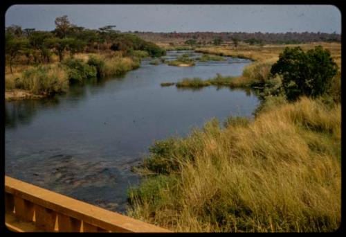 Okavango River