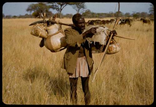 Man carrying bundles on a carrying stick over his shoulder, returning from contract work