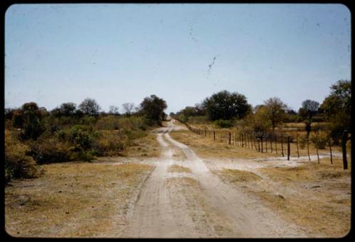Road and border fence between South West Africa and Angola