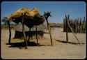 Shelter for sitting inside Elia's kraal