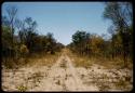 Road through heavy sand between Elia's kraal and the border road