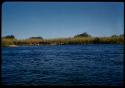People fishing in the Okavango River, distant view