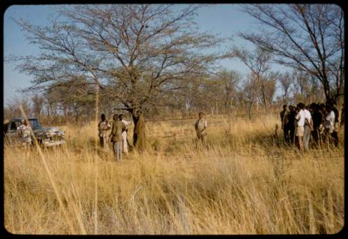 Men standing, waiting to be paid by Mr. Kruger for work on a fire break, distant view