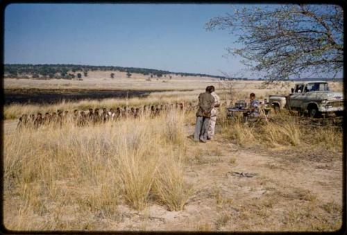 Men sitting in line, waiting to be paid by Mr. Kruger for work on a fire break, with two interpreters standing and Mr. Kruger sitting at a table