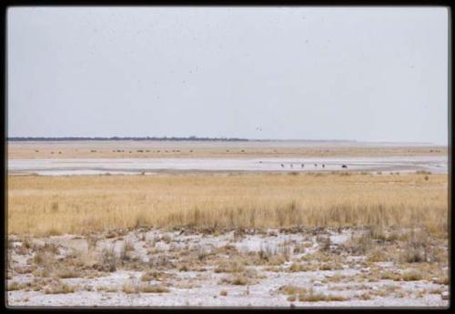 Etosha Pan